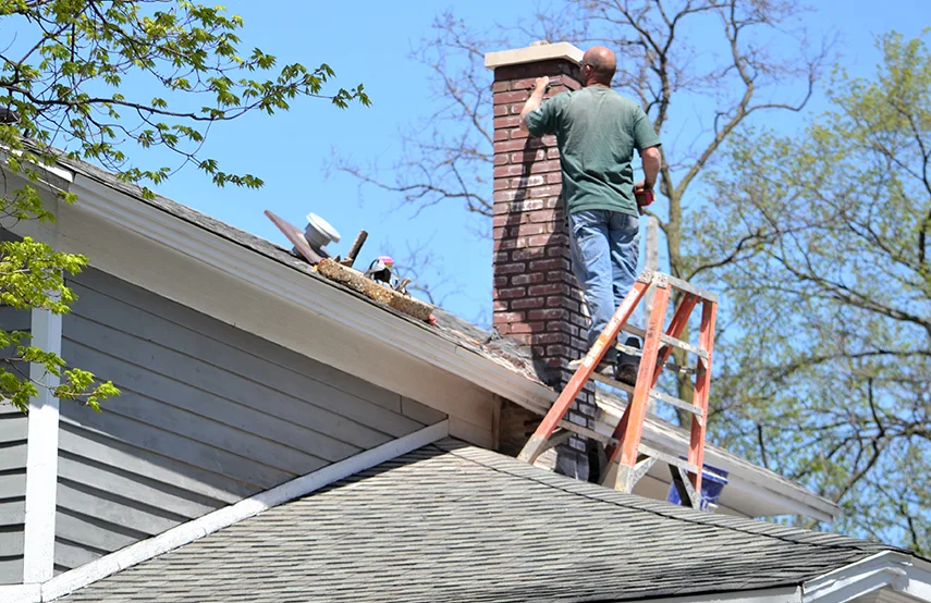 Chimney & Fireplace Inspections Services in Winter Springs, FL